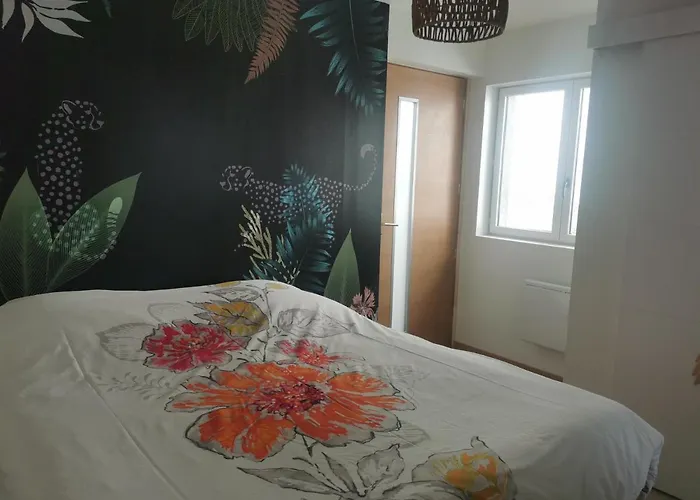 Le Chateau Des Abeilles - Recemment Renove - Proche Centre Village Et Route Des Vins Scherwiller