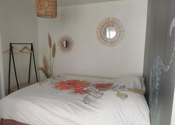 Le Chateau Des Abeilles - Recemment Renove - Proche Centre Village Et Route Des Vins * Scherwiller